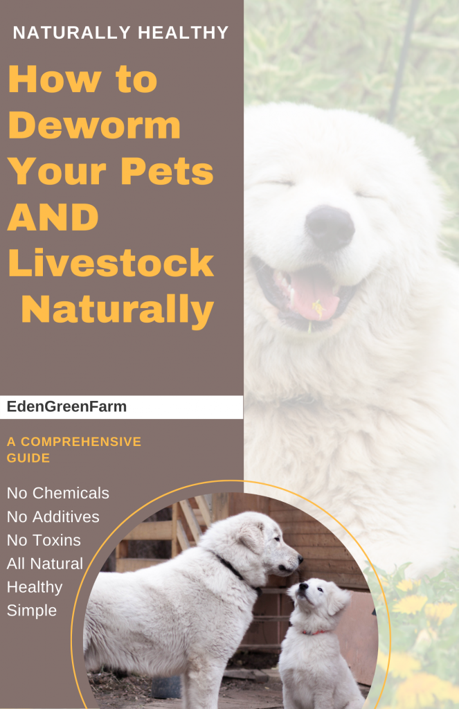 Short Guide On How To Deworm Your Dogs, Cats, Pets & ALL Livestock ...