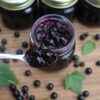 black-currant-jam-organic-